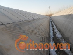 石家庄鑫民大棚骨架。温室大棚骨架，花卉大棚骨架图2