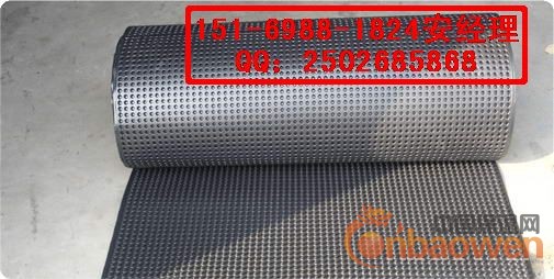 专业供应安徽【防渗绿化排水板】 【屋顶绿化防渗排水板】 厂家
