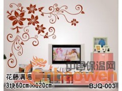 北京中天禾能生产丝网模具印花硅藻泥厂家直销图2