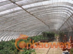 陕西大棚骨架，温室大棚骨架价格，大棚骨架销售图3