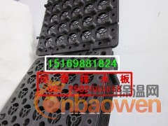 供应沧州蓄排水板  <承德>屋顶花园蓄排水板图2