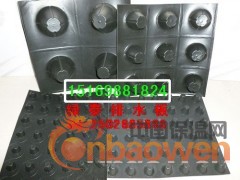 供应山西防根板~隔根板~防根刺排水板作用图3