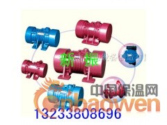 YZS-30-2振动电机、YZS-10-4振打电机图2