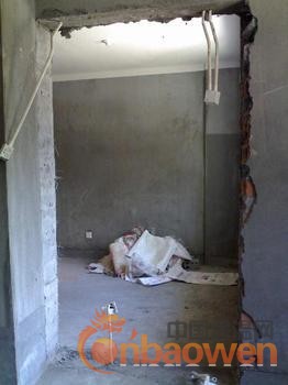 北京专业拆墙开门专业楼板开洞加固