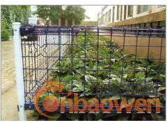 供应苹果园护栏网图2