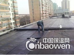 潍坊专业地下工程防水图2