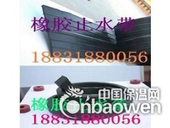 SR防渗盖片公司图3