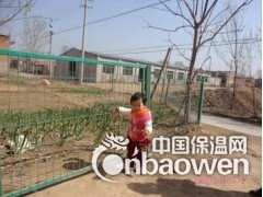 框架护栏网图3