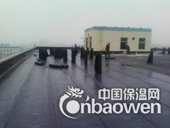 北京朝阳区专业楼顶防水堵漏6860117