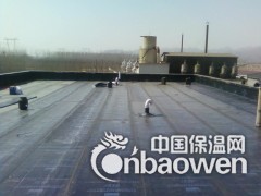 北京朝阳区专业楼顶防水堵漏68601171屋顶防水补漏公司图2