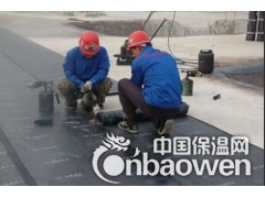 北京海淀区屋顶防水堵漏6860.1171楼顶防水公司图3