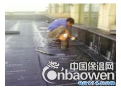 北京专业防水注浆西城区专业楼顶防水68603616图2