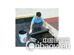 北京专业防水朝阳区专业屋顶防水楼顶防水堵漏图2