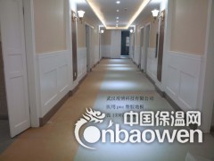 武汉专用pvc塑胶地板 医用环保抗菌塑胶地板图2