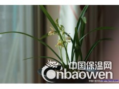供应园艺栽培育苗蔬菜用（大颗粒珍珠岩）图2