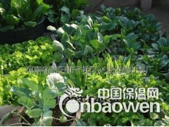 供应园艺栽培育苗蔬菜用（大颗粒珍珠岩）图3