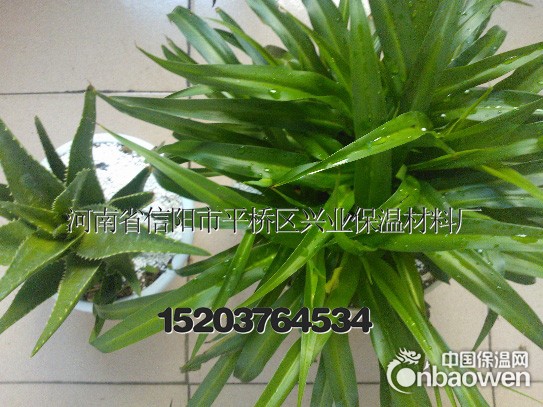 供应园艺优质（大颗粒珍珠岩）1-4mm