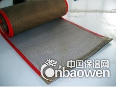 供应泰州铁氟龙网带 特氟龙网带 微波烘干用网带图3
