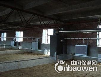 鸡舍取暖锅炉1000-1500平方，鸡舍取暖设备升温40度