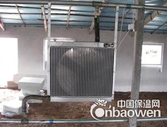 鸡舍控温锅炉保温省煤，鸡舍控温锅炉提供技术