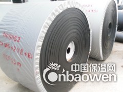 防撕裂钢丝绳芯提升带  提升机皮带 钢丝绳提升带价格图3