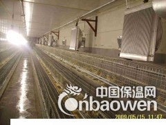 鸡舍加温锅炉免费送货图2