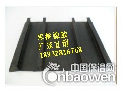 无孔式背贴式橡胶止水带 小李告诉你4道防水线的止水作用图2