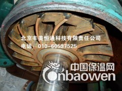 梅鲁斯水处理环图2
