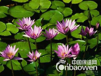 第19届中国义乌国际小商品博览会--19'义博会