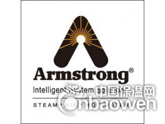 阿姆斯壮Armstrong安全阀图2