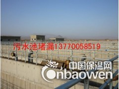 专业污水池堵漏.专业污水池补漏公司图3