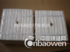 钢包盖保温专用硅酸铝模块  高纯型陶瓷纤维模块图2