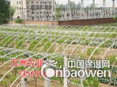 简介：