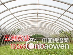 简介：