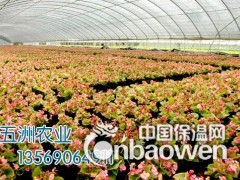 简介：