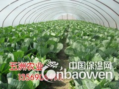 简介：