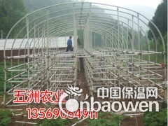 简介：