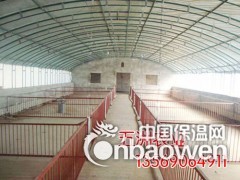 简介：