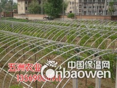 简介：