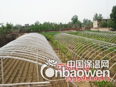 简介：