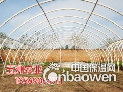 简介：