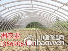 简介：