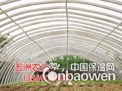 简介：
