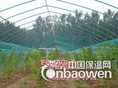 简介：