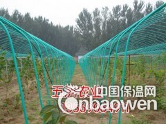 简介：