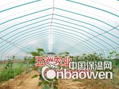 简介：