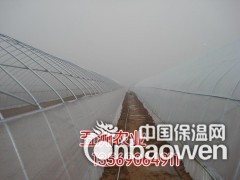 简介：