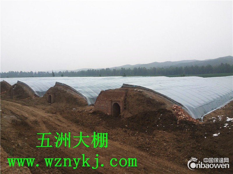 五洲公司生产钢管大棚  钢架大棚  农业大棚