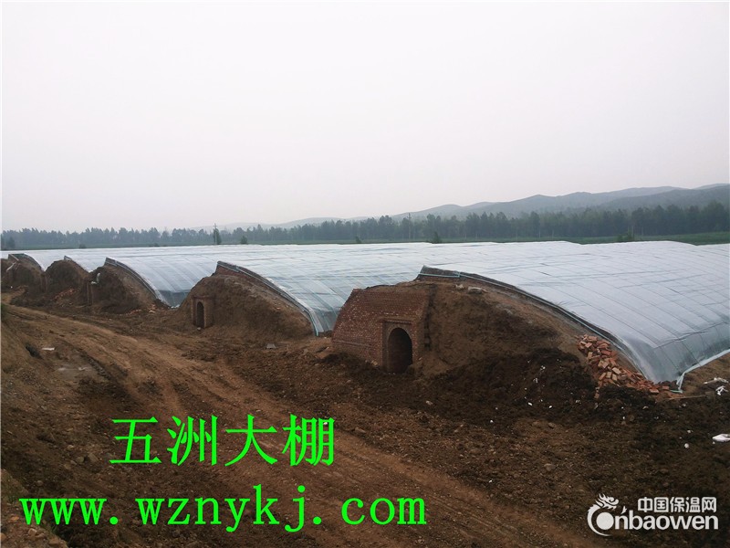 建设温室大棚  温室大棚造价  安阳五洲