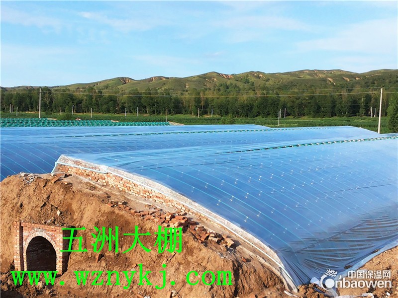 建温室大棚多少钱  温室大棚技术